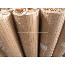 Powder Coat Welded Wire Mesh For Bird Cage